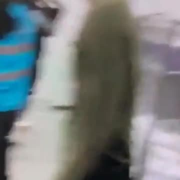 More footage from inside the largest migrant plantation in Ireland, the Citywest