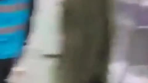 More footage from inside the largest migrant plantation in Ireland, the Citywest