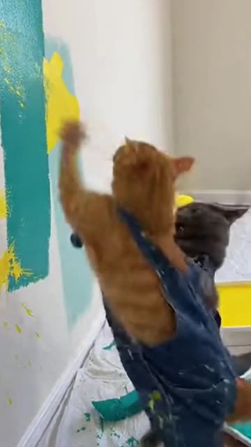 Color Debate Gone Wrong 😑 | Awkward & Funny Moment