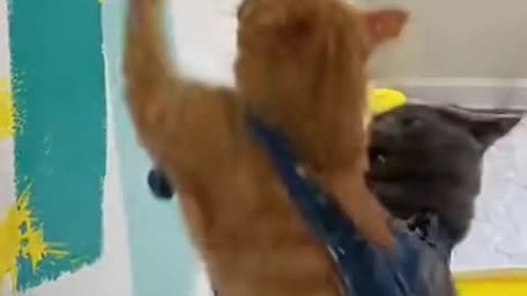 Color Debate Gone Wrong 😑 | Awkward & Funny Moment