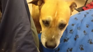 VID_20251123_121617921