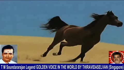 Old Is Gold (evergreen) T M Soundararajan Legend Vol 237 Horse Song 10