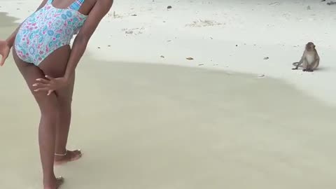 Adorable Monkey Moment Gone Wrong
