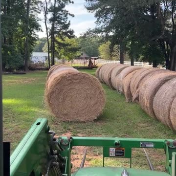 Putting the Groceries away