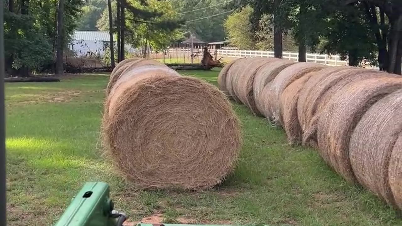 Putting the Groceries away