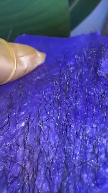 Brazilian Waxing with Sexy Smooth Hypnotic Purple Seduction Hard Wax by @satisfiedglow