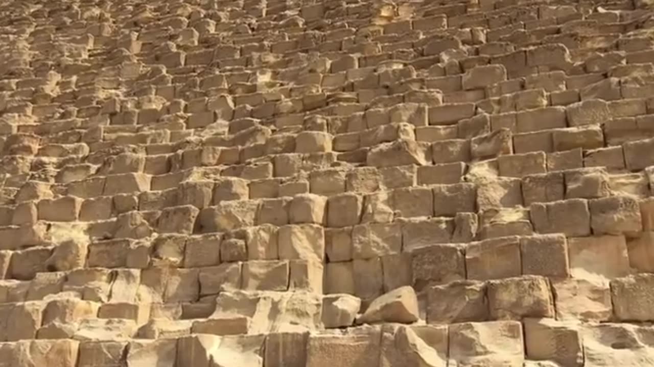 🤯🌍 You Won't Believe How Big These Things Really Are! | FeedMyCuriosity