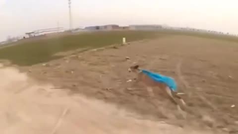 🤯🚀 Experience Blazing Speed in This Zoom! | FeedMyCuriosity