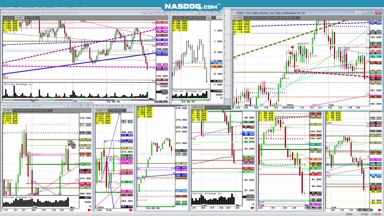 Cattle Hogs 2025 lows accelerate algos sell sell sell