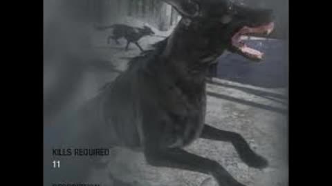 10 Minutes of Pure Panic 🐕🔥 | Enemy Dogs Incoming (Black Ops)