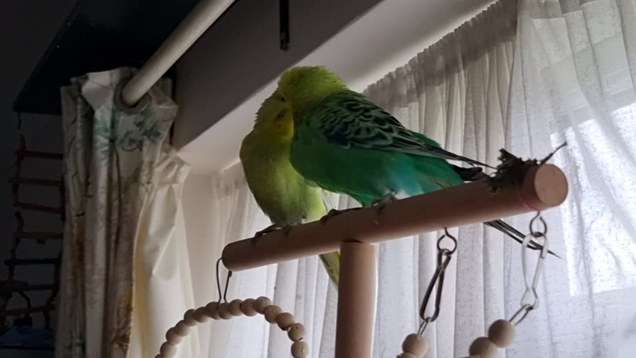 Loric Has a Lot on his Mind