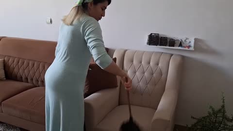 Daily Vlog: Cleaning the house makes me feel so good.