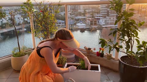 Planting Pet Grass for Our Frenchie Piper: Quick Balcony Setup from Bunnings!