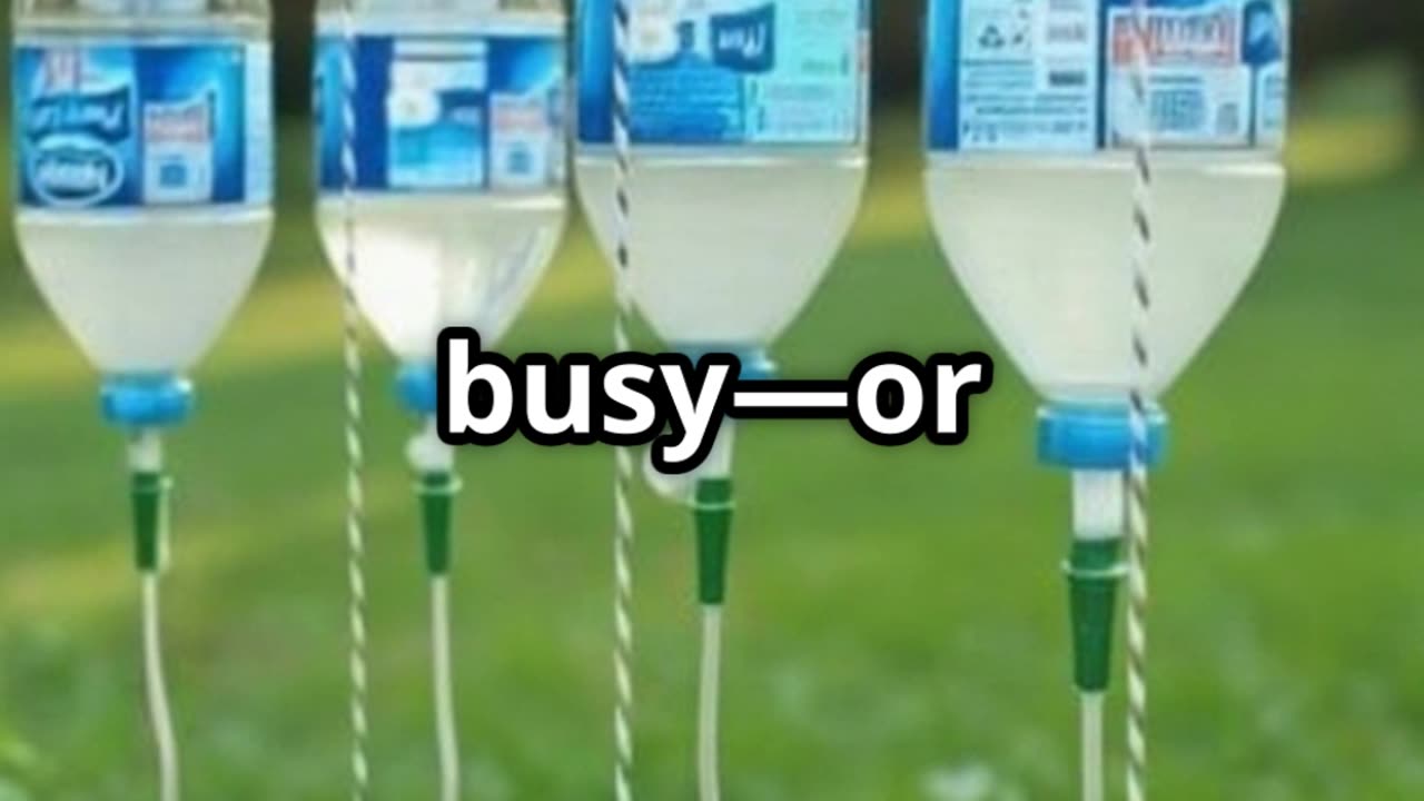 7 Plastic Bottle Hacks TikTok Can’t Live Without!