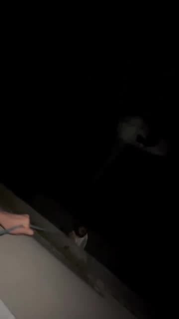 VIDEO e turpshme/ Babai i dehur argëton shokët, duke zbritur djalin me litar nga dritarja