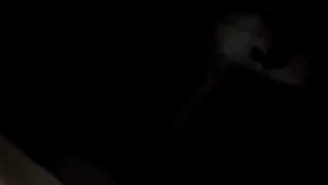 VIDEO e turpshme/ Babai i dehur argëton shokët, duke zbritur djalin me litar nga dritarja