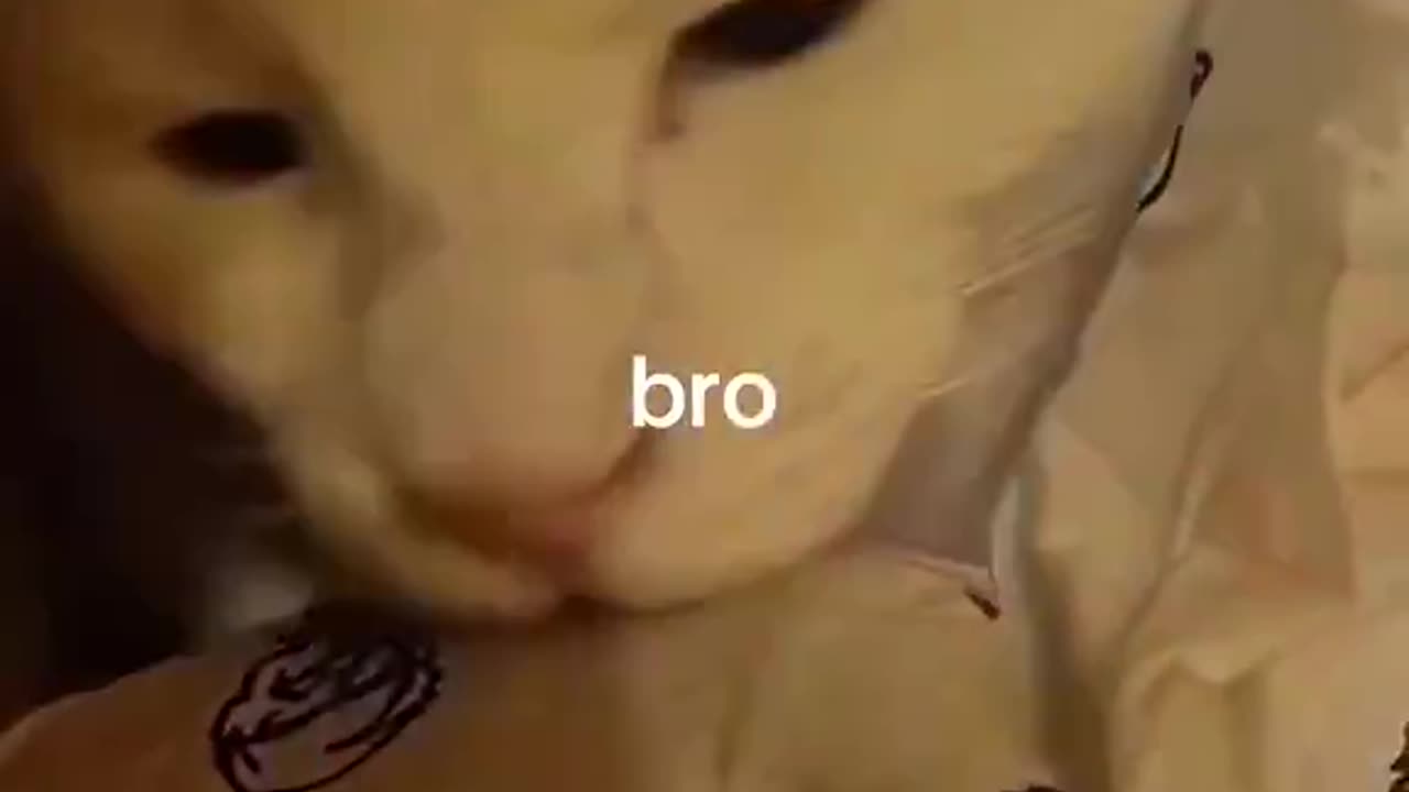 His greed sickens me 💔