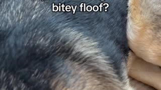 She went from only child to traumatized