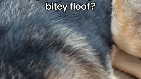 She went from only child to traumatized