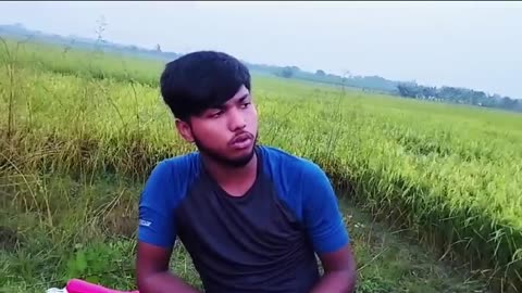 বাপ বেটার কাহিনী