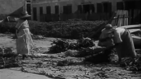 Dairy Industry Sponge F... - Dairy Industry Sponge Fishing Industry San Antonio, Texas Da - fc-fc-75