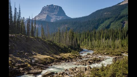 Mountain Stream | 8 Hours of Babbling Brook for Sleep, Relaxation and Meditation