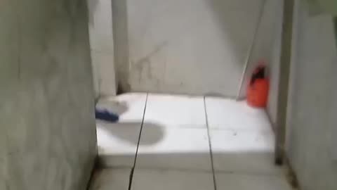 "Cleaning the Toilet: Effective Ways to Remove Stubborn Stains (Part 3)"