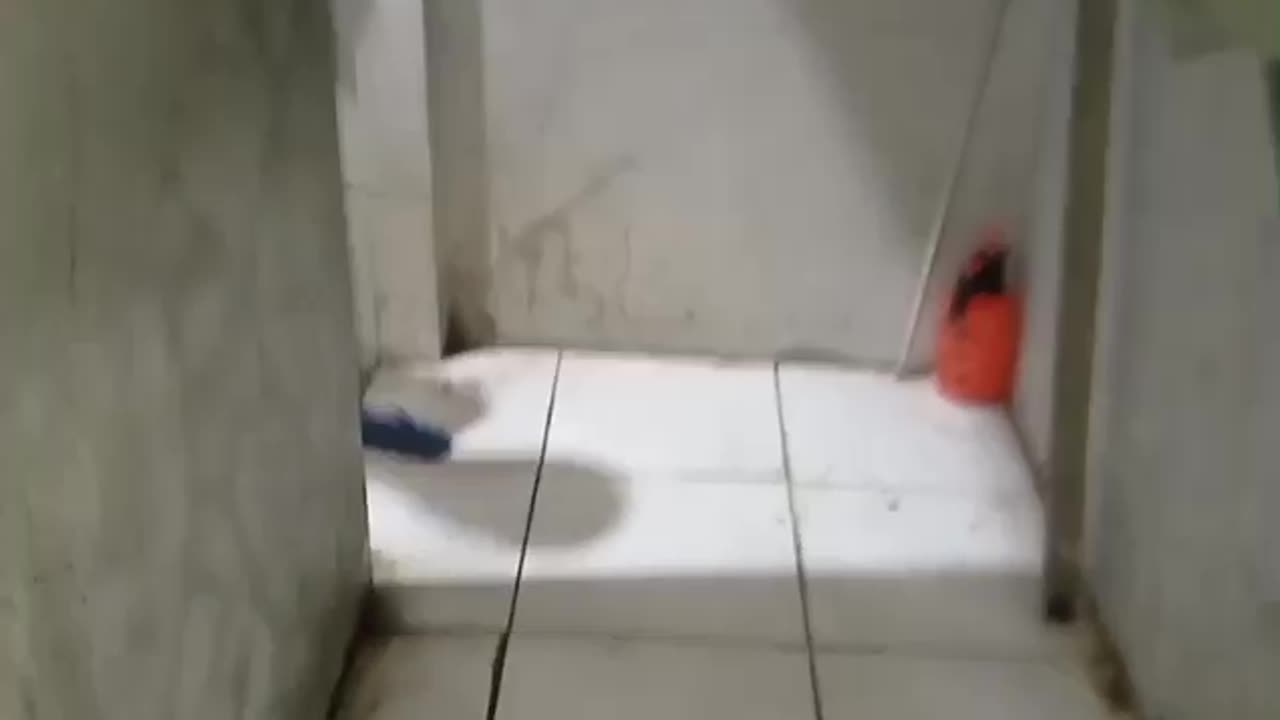 "Cleaning the Toilet: Effective Ways to Remove Stubborn Stains (Part 3)"