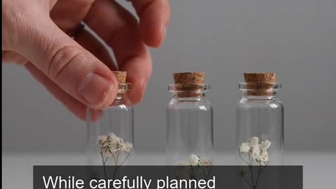 Daily Horoscope | Virgo 🌟