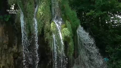 Natural sounds with piano melody🎵 to calm the heart and mind