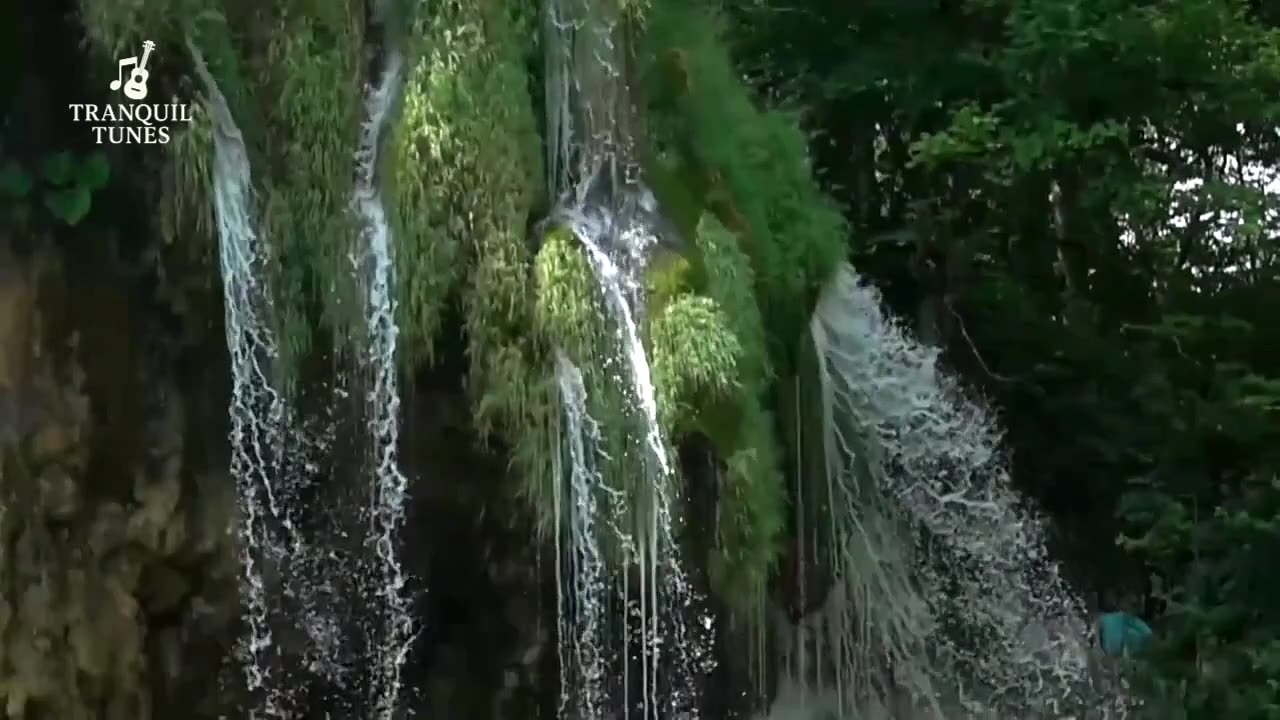 Natural sounds with piano melody🎵 to calm the heart and mind