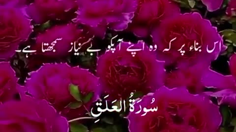 Beshak 💯♥️✨🕊️