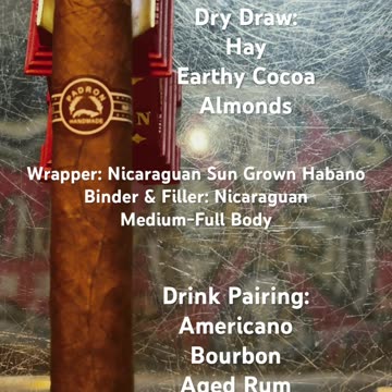 Series 2000 Natural (Padrón) 5x50 Robusto #CigarOfTheDay #CigarReview #Shorts #Short #Review