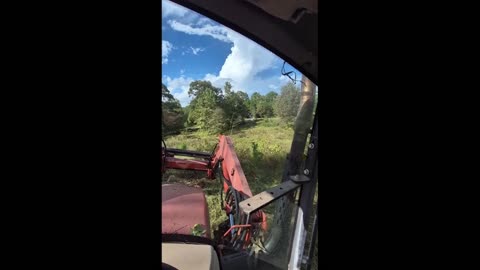 BUSH HOGGIN FOR CHILDREN EP-1