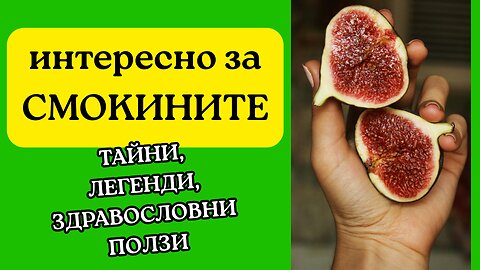Смокините - тайни, легенди и здравословни ползи