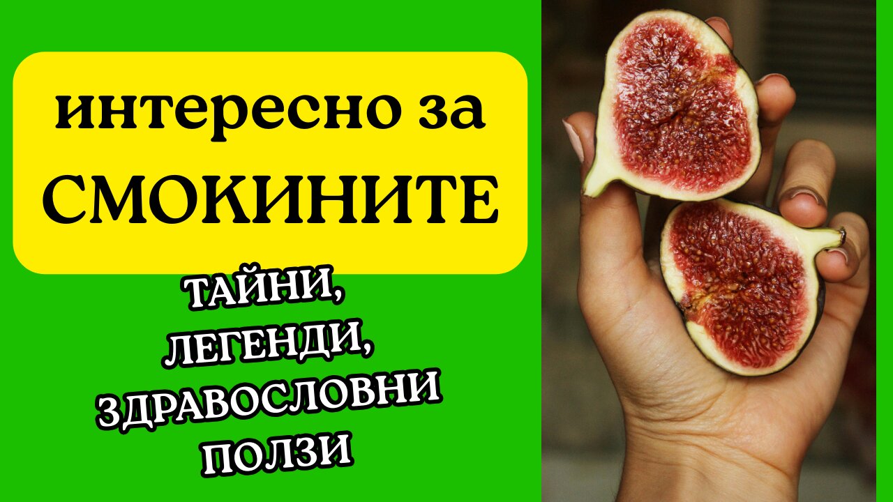 Смокините - тайни, легенди и здравословни ползи