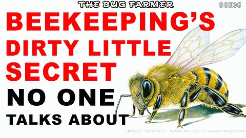 Unexpected Beekeeping Challenges: What No One Tells You