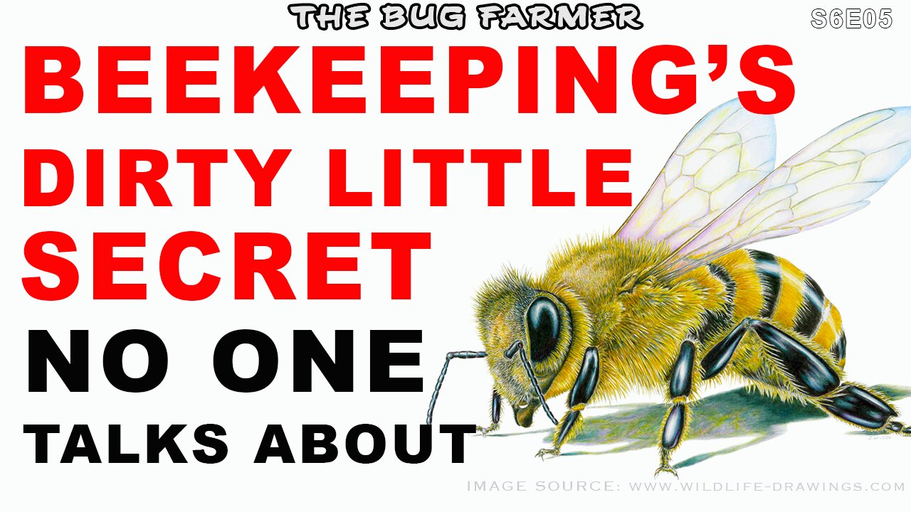 Unexpected Beekeeping Challenges: What No One Tells You