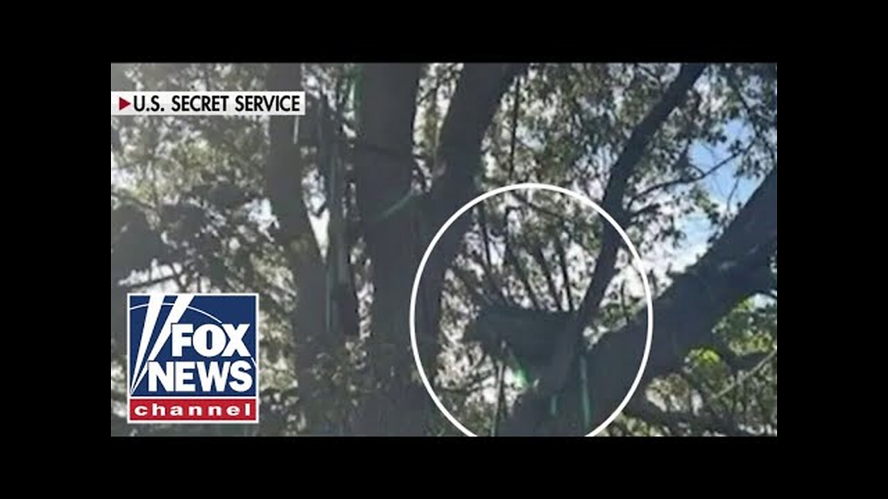 BREAKING: Hunting stand found with line of sight to Air Force One