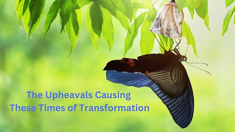 The Upheavals Causing These Times of Transformation ∞St. Germain ~Daniel Scranton