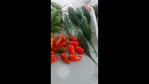 organic garden fresh vegetables♥️🇺🇸🇧🇩