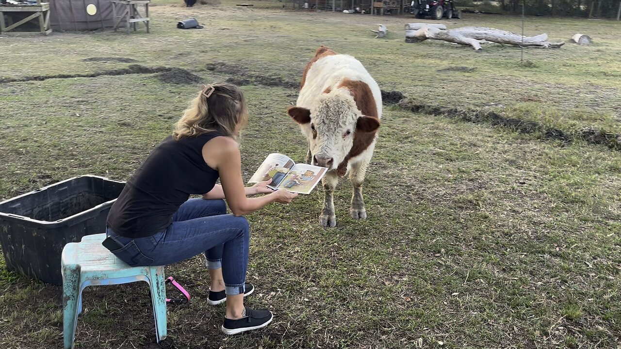 Reading to T-Bone his own origin story. “T-Bone’s Big Little Life”