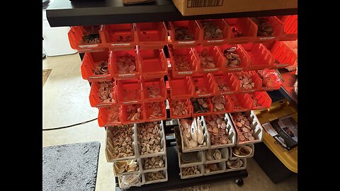 Pick A 40 Shell Starter Set With Me! | 4K