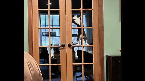 Episode 3009 CWSA 11/05/25