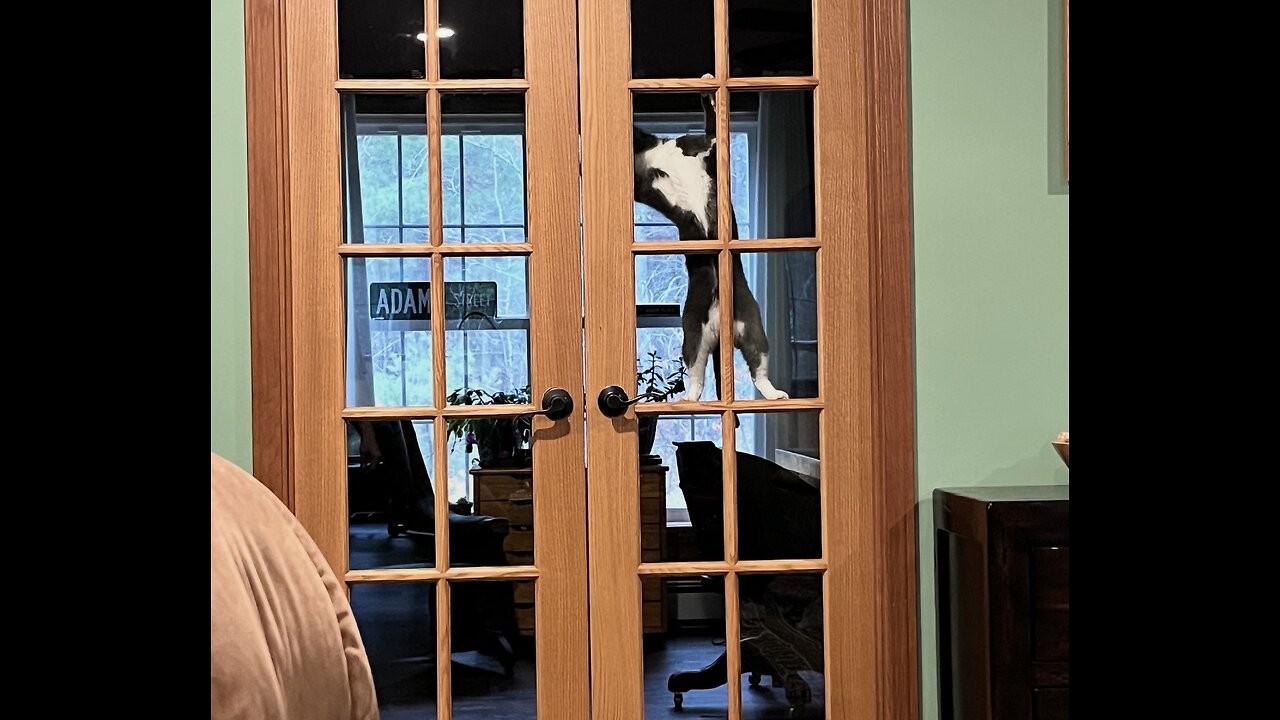 Episode 3009 CWSA 11/05/25