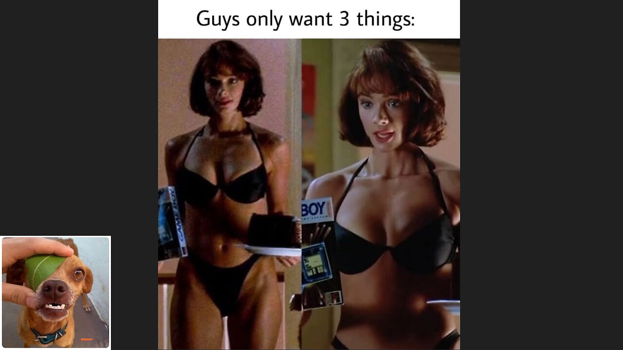 Memes That Will 99.0493% Make You Laugh. (e717)