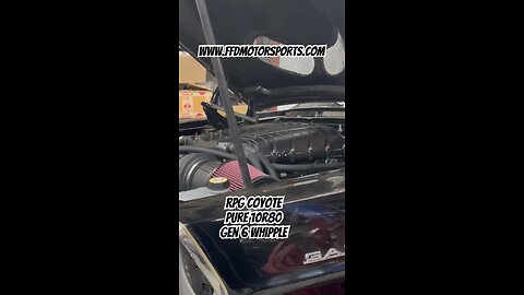 RPG COYOTE, PURE 10r80, Gen 6 WHIPPLE