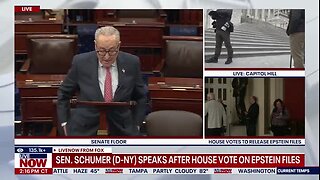 Schumer: Epstein Files Vote ‘Will Go Down as One of the Most Damaging Moments of Trump’s Presidency’