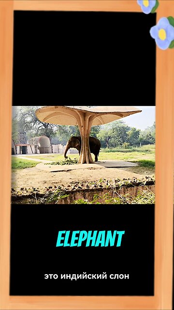Indian Elephant 🐘: India's Gentle Giant Secrets Revealed!