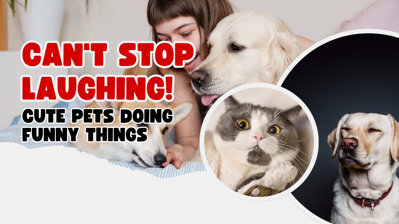 Hilarious Pets Caught in the Act! Try not to laugh